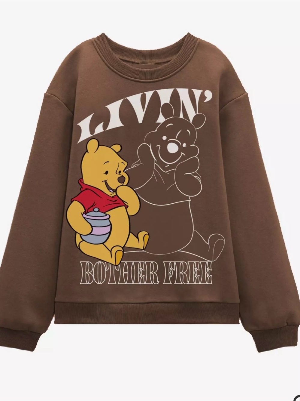Disney Brown Crewneck Sweatshirt Winnie the Pooh Graphic